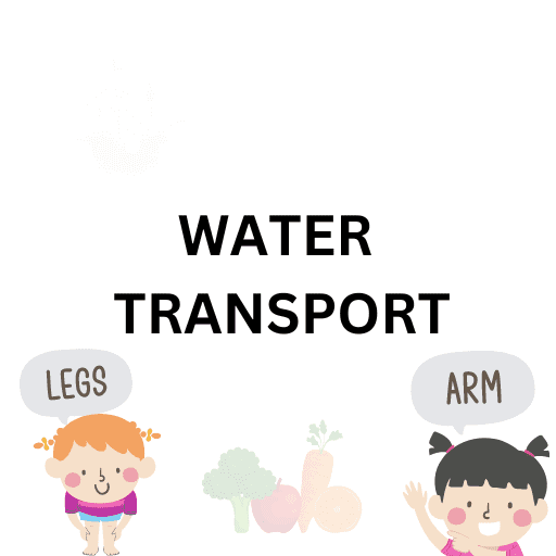 Water Transport